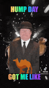 Hump Day Lawrence Connor GIF - Hump Day Lawrence Connor Lawrencealbertconnor GIFs