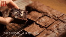 巧克力布朗尼 Chocolate Brownie! GIF - 朱古力chocolate Cocoa Cacao巧克力 GIFs