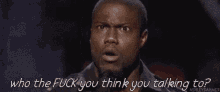 Who The Fuck... GIF - Kevin Hart GIFs