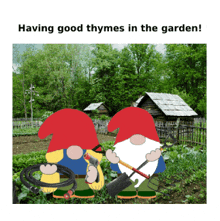 garden gnome gardening animated meme
