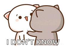 a cartoon of a cat hugging another cat with the words i don 't know