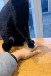 a black cat sits on a wooden table with a person 's hand on it