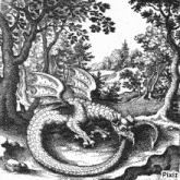 a black and white drawing of a dragon surrounded by trees in a forest .