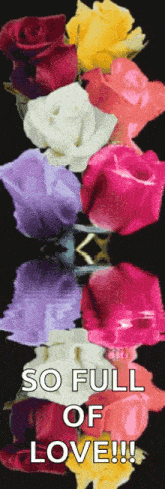 Roses Flower GIF - Roses Flower Reflection GIFs