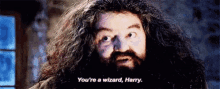 rubeus hagrid you are a wizard harry potter eyebrows