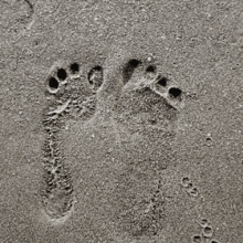 Nagvish Footprint GIF - Nagvish Footprint GIFs