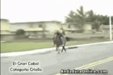 a man riding a horse down a street with the website andaduraonline.com written on the bottom