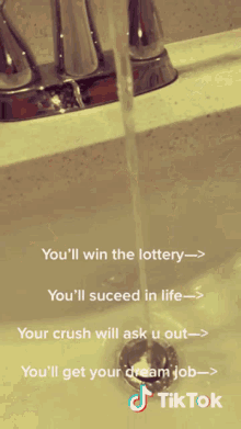 Youll Win The Lottery Youll Succeed In Life GIF - Youll Win The Lottery Youll Succeed In Life Your Crush Will Ask You Out GIFs