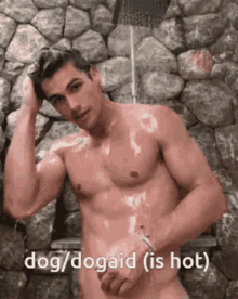 Dogaid Sexy GIF - Dogaid Dog Sexy GIFs