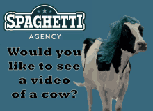 spaghetti agency send them a cow cow would you like to see a video of a cow