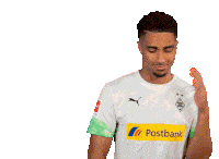 Borussia Mönchengladbach Sticker - Borussia Mönchengladbach Bundesliga Stickers