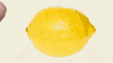 Lemon Squeeze GIF - Lemon Squeeze Gif GIFs
