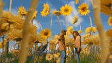 a man and woman are standing in a field of yellow flowers