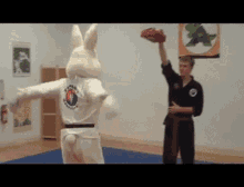 Bunnykick Karate GIF