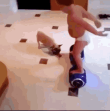 baby hoverboard ride dog watchme
