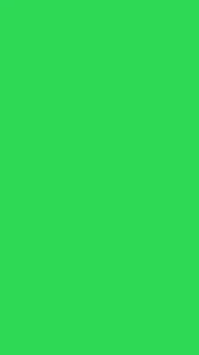 Green Solid Background Green GIF - Green Solid Background Green Background GIFs