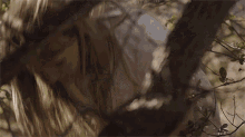 Picking Flowers Courtney Marie Andrews GIF - Picking Flowers Courtney Marie Andrews Burlap String GIFs