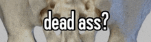 a picture of a skeleton with the words dead ass on it