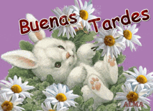 a picture of a bunny with the words buenas tardes written above it