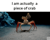 Crab Crap GIF - Crab Crap I Am Actually A Piece Of Crab GIFs