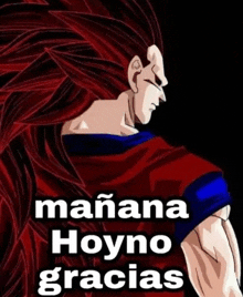 a picture of a dragon ball z character with the words mañana hoyno gracias