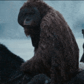 Planet Of The Apes Maurice GIF - Planet Of The Apes Maurice GIFs