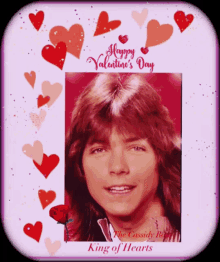 david cassidy the cassidy rose happy valentines day
