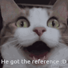 He Got The Reference Ryan GIF - He Got The Reference Ryan Reference GIFs