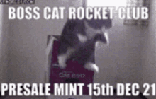 Bosscat Cats GIF - Bosscat Cats Cat Generator GIFs