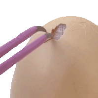 Removing Eggshell That Little Puff Sticker - Removing Eggshell That Little Puff Peeling The Egg Stickers