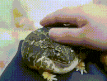 a pixelated image of a person holding a lizard