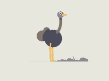 ostrich-bird.gif