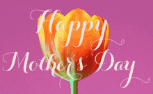Mothers Day Animations GIFs | Tenor