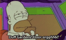 The Simpsons Homer GIF - The Simpsons Homer Duff Gardens GIFs