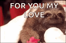 For You My Love Flowers GIF - For You My Love Flowers Sloth GIFs