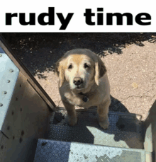 Rudy Time GIF
