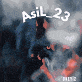 a picture of a wolf with the words asli 23 on it