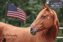 Horse Waving Flag GIF - Horse Waving Flag American Flag GIFs
