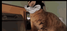 Cats Startled GIF - Cats Startled Slap GIFs