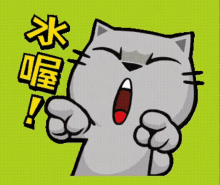 Cat Love GIF - Cat Love Clapping GIFs