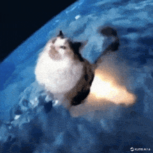 GIF