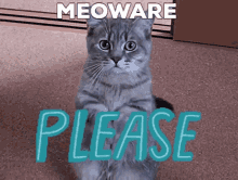 Meoware Please GIF - Meoware Please Madebycold GIFs
