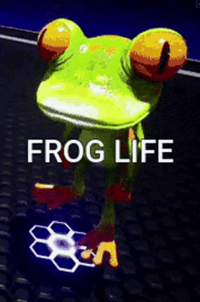 illuvium frog illuvium frog meme thug life glasses frog life