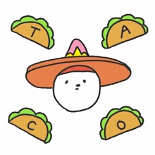 food taco