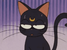 Luna Sailor Moon GIF - Luna Sailor Moon Cat GIFs