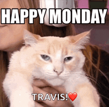 Happy Monday Grumpy Cat GIF