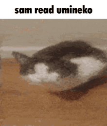Sam Watch GIF - Sam Watch Umineko GIFs