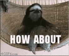 How About No No GIF - How About No No Sloth GIFs
