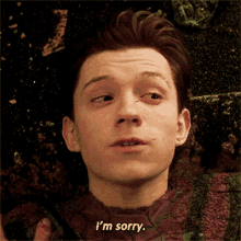 Spiderman Peter Parker GIF - Spiderman Peter Parker Im Sorry GIFs