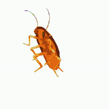 Roach GIF - Roach GIFs